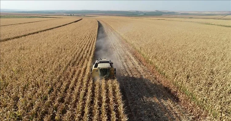 Tarım ÜFE temmuzda aylık bazda azaldı