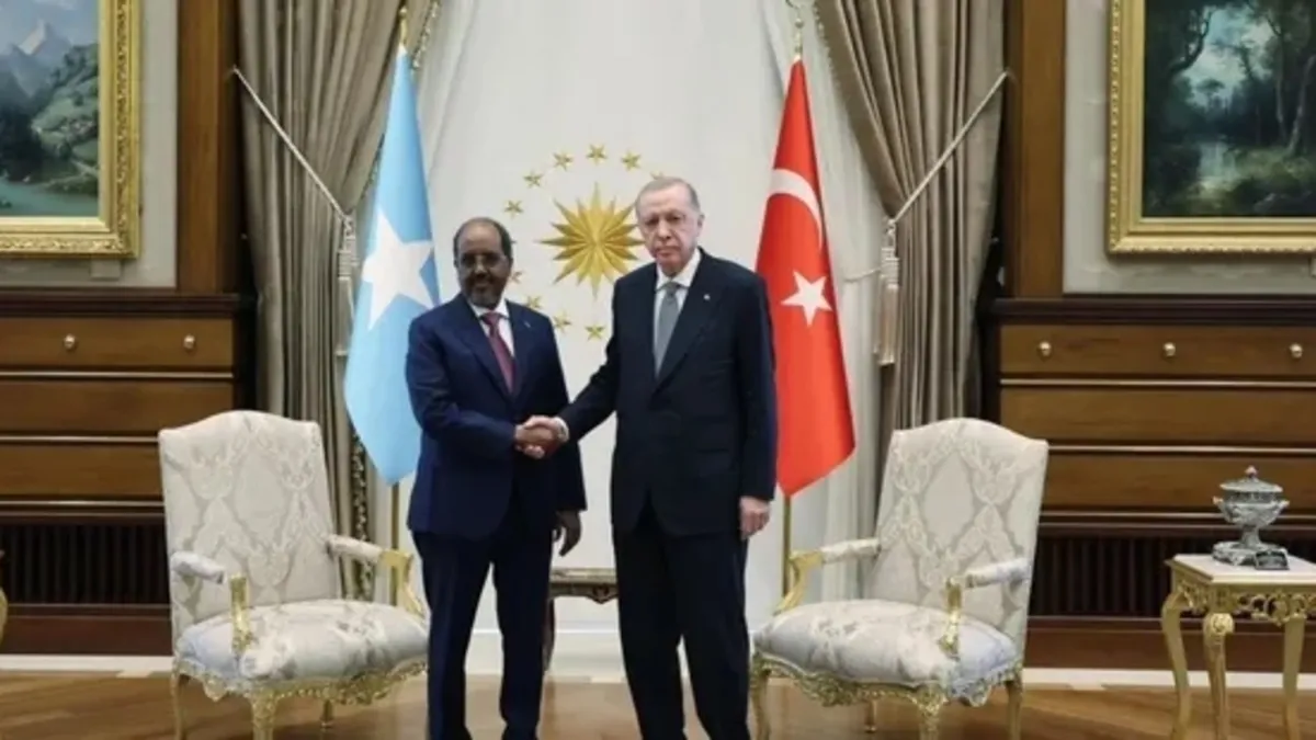 Başkan Erdoğan Somali Cumhurbaşkanı Mahmud ile görüşüyor Başkan Erdoğan Somali Cumhurbaşkanı Mahmud ile görüşüyor