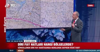 Son günlerdeki depremler neyin habercisi? Diri fay hatları hangi bölgelerde? | Video