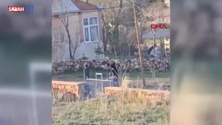 Eşeğe sopayla dakikalarca eziyet ettiler! O anlar böyle görüntülendi | Video