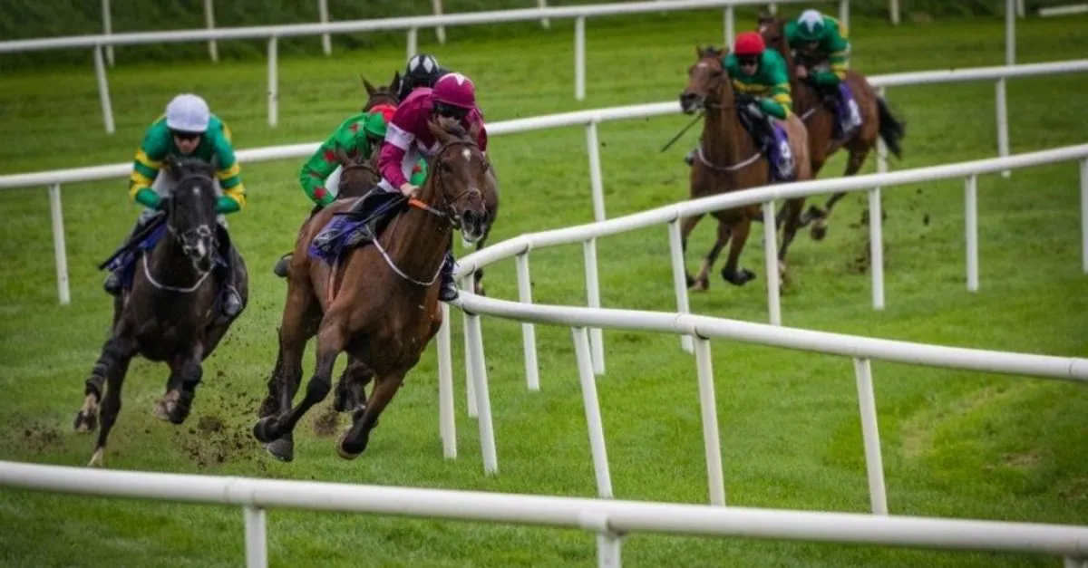 tjk duyurdu at yarislari ne zaman ayin kacinda baslayacak guncel at yarislari programi son dakika spor haberleri