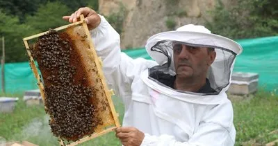 Anzer Balı'nın fiyatı 4 bin TL'ye çıktı #rize