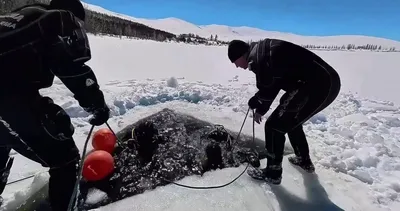 Buzla kaplı gölette nefes kesen dalış