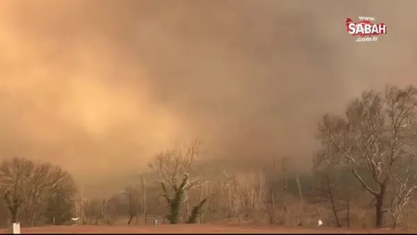 SON DAKİKA: Çanakkale Kazdağları’nda yangın | Video