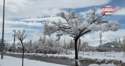 Başkale’de mest eden kar manzaraları | Video