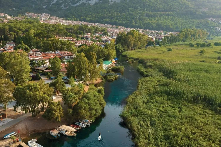 Türkiye’nin En Yeşil İlleri Belli Oldu! İşte %50 Orman Barajını Aşan 14 Şehir!
