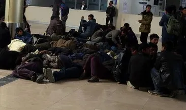 Düzensiz 117 göçmen sınır dışı edildi #kocaeli