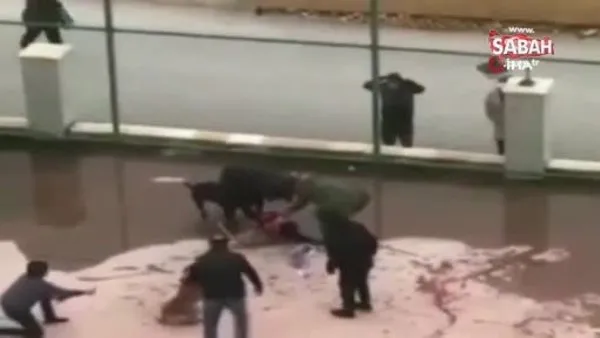 Pitbull saldırısında yaralanan Asiye haftaya taburcu oluyor | Video