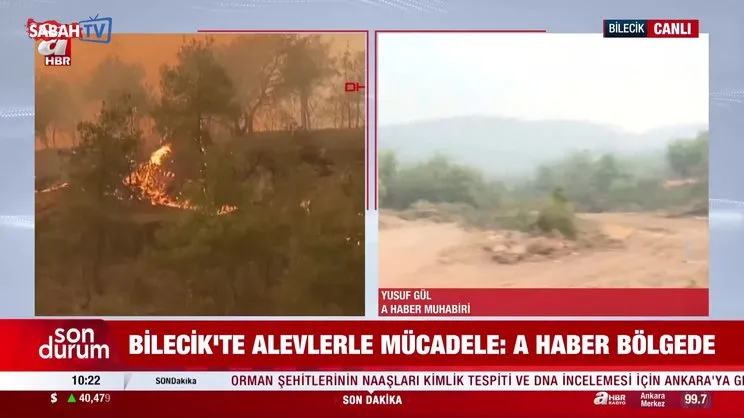 Türkiye yangınlarla mücadele ediyor! İşte Sakarya, Bilecik ve Karabük'te son durum | video