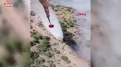 İzmir’de orman yangını! | Video