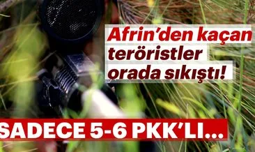 Son dakika: Afrin’den kaçan teröristler orada sıkıştı! Son 5-6 terörist kaldı...