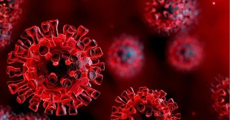 7 Kasım koronavirüs tablosu açıklandı! Sağlık Bakanlığı 7 Kasım korona tablosu ile güncel Türkiye vaka - vefat sayıları