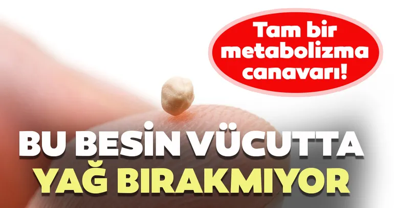Tam bir metabolizma canavarı! İşte metabolizmayı canlandırarak vücutta yağ bırakmayan gıdalar