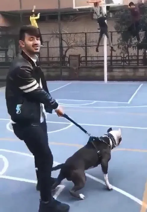 Pitbull ile çocuklara şaka yaptı: Tasma kopunca olanlar oldu!