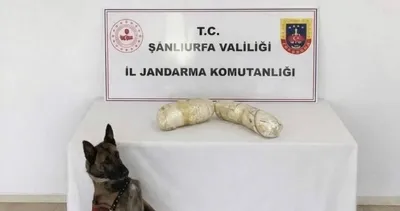 Uyuşturucu operasyonu 2 kişi yakalandı