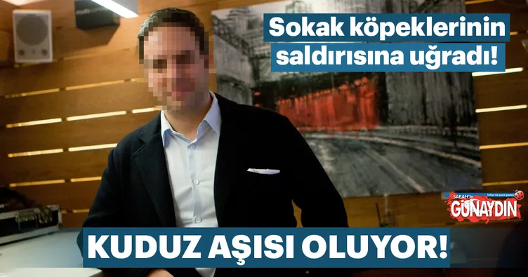 Sokak köpeklerinin saldırısına uğradı