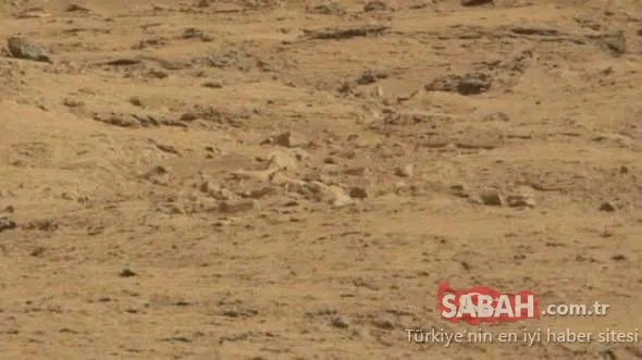 Mars'tan gelen fotoğraflar kan dondurdu! Dünyayı şaşkına çevirdi!