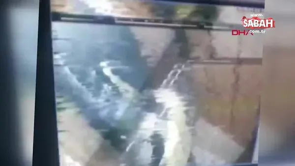 Son dakika! İzmir'de iğrenç olay... Müşterilerin damacana sularına idrarını yapan sucu kamerada | Video