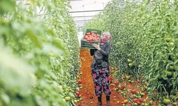 Enflasyonu Antalya düşürdü