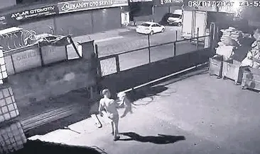 O cani tutuklandı