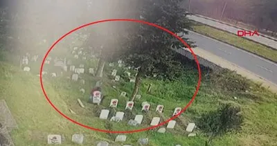 Trabzon’da mezarlıktaki akılalmaz olay kamerada
