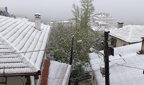 kiraz-cicekleri-beyaz-ortu-kapladi-1777877223635.jpg