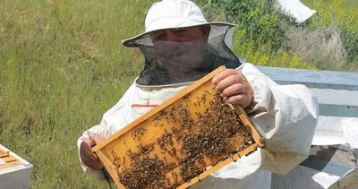 50 yıldır arılarıyla bal yolcuğu yapıyor