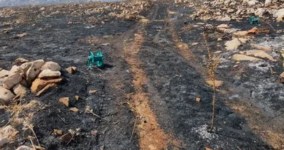Adıyaman’da zemin etüt çalışması yürütülen alanda yangın çıktı #adiyaman