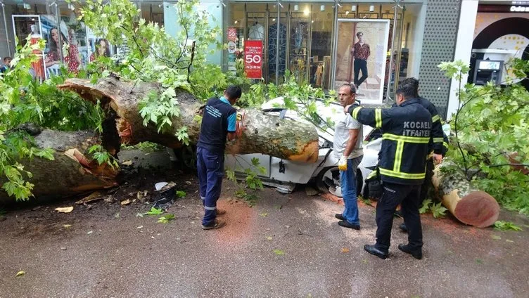 Çınar ağacı otomobilin üzerine devrildi: 1 yaralı