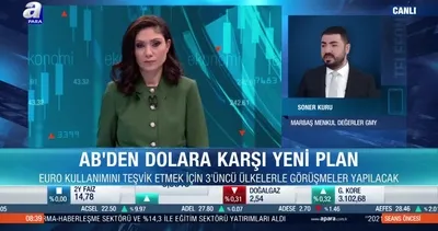 Euro referans para birimi olabilir mi?