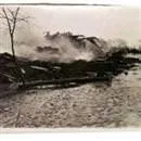 Depremde 265 kişi öldü