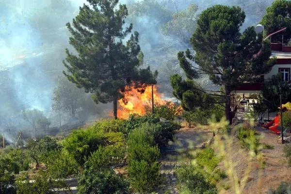 Son dakika: Kahramanmaraş'ta orman yangını! Alevler evlere sıçradı; havadan  ve karadan müdahale sürüyor - Galeri - Yaşam