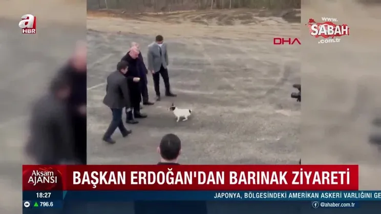 Başkan Erdoğan, hayvan barınağını ziyaret etti | Video