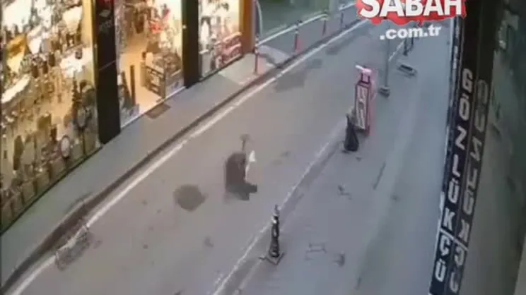 Şaşkın tilki caddelerde... | Video