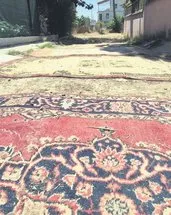 Rezaletin fotoğrafı!