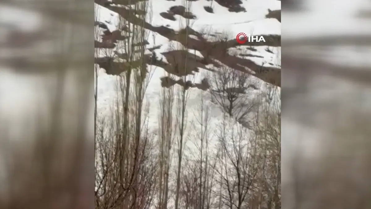 Yüksekova’da çığ paniği: Köy halkı faciadan döndü