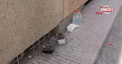 Edirne’de sokak hayvanlarının su ve mama kaplarını molozla doldurdular
