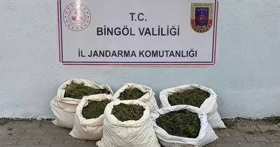 Bingöl'de 3 milyon kök kenevir ele geçirildi #bingol