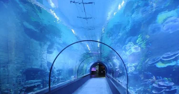 Dünyada ilk: Tünel akvaryumu Trabzon’da