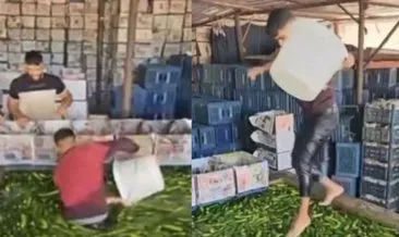 Skandal görüntülere tepki yağmıştı: Tarım ve Orman Bakanlığı harekete geçti! #adana