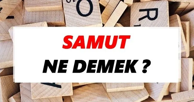 Samut Ne Demek? TDK’ya Göre Samut Sözlük Anlamı Nedir?