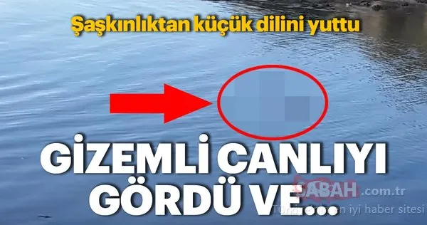 Gizemli deniz yaratığı balıkçıyı şaşkına çevirdi!