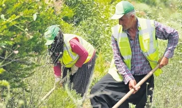 Yeşil vatanı canlandırmak için büyük seferberlik