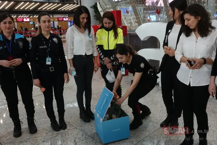 İstanbul Havalimanı’nda büyük sürpriz! Kutuyu açtıkları anda...