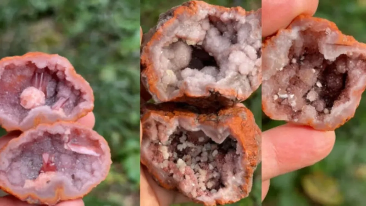 Elinizdeki serveti çöpe atıyor olabilirsiniz! İşte bulanı zengin eden o kaya parçası…