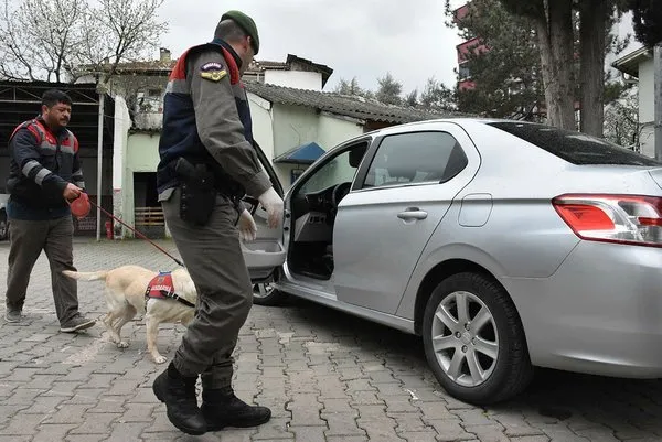 Bilecik'te ele geçirildi... Piyasa değeri tam 10 milyon TL