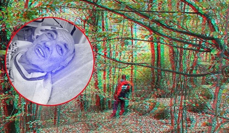 Ormanda kaybolan emekli öğretmen 14 saat sonra bulundu: Dikenlik alana düştü ve…