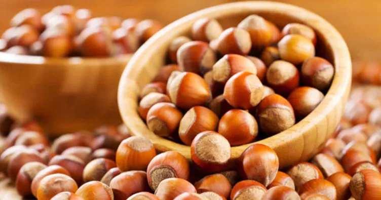 fındık ihracatı ile ilgili görsel sonucu