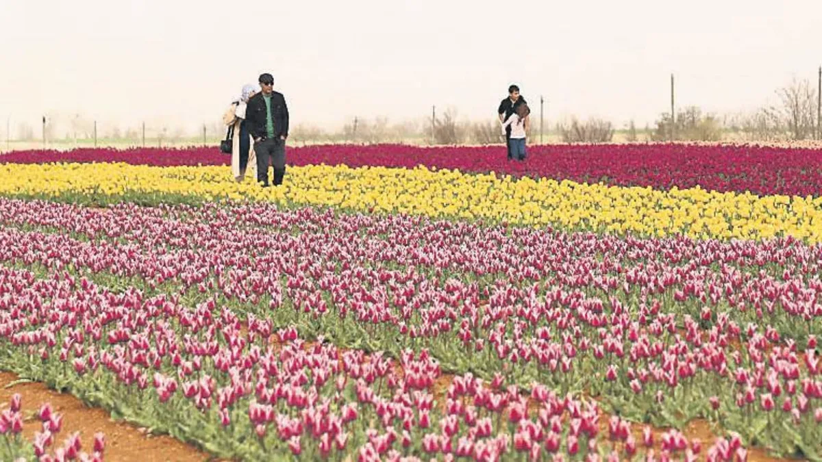 Anadolu'da Lale Devri