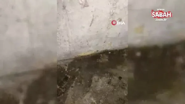 Sultangazi'de 4 binanın bodrum katını lağım suyu bastı: İSKİ'ye tepki yağdı | Video